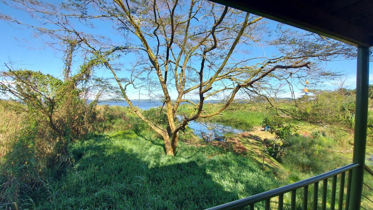 Yellow Haven Lodge Kampala Luaran gambar