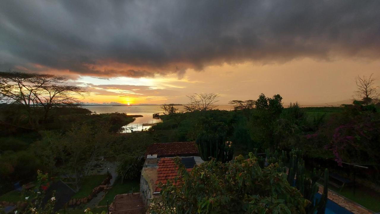 Yellow Haven Lodge Kampala Luaran gambar